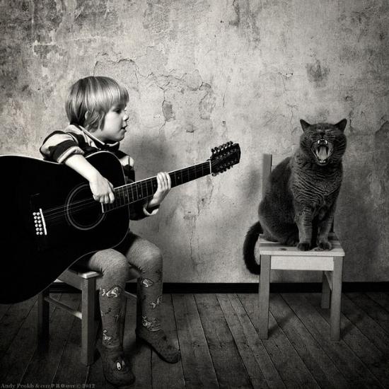 小女孩与短毛猫的黑白友谊
