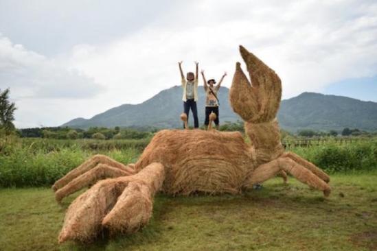 稻草回收、化身巨型恐龙雕塑