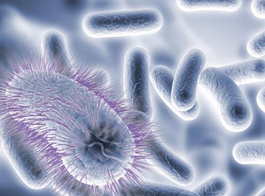 美国发现无敌细菌 对现阶段全部抗生素都具有耐药性