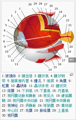 美军专家表示VR可能永远不会成功，这都怪你的穴居人大脑