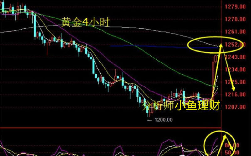 本周白银价格维持在日线图震荡下行的通道中，市场空头氛围比较浓。日线图短期均线拐头向下，均线系统技术压制明显，后市可能继续走弱。从日线图MACD指标看，快慢线零轴上方死叉且向下发散，绿色能量柱维持高位，白银技术压制明显。整体来看，白银短线下行趋势已经确立，投资者可把握逢高卖空策略。