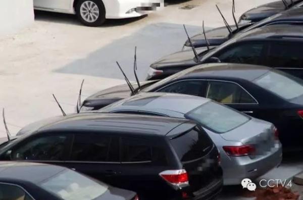 到停车场侦查了一下，发现确实很多车子都像上图那样把雨刷器立起来了。