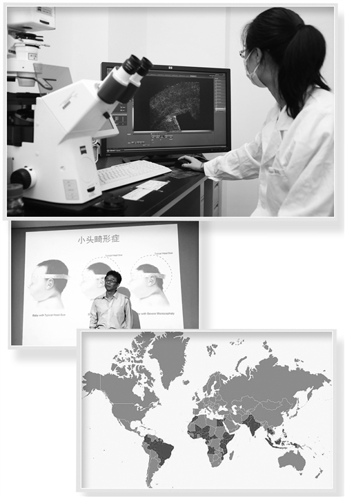 图为在北京中国科学院遗传与发育生物学研究所，一名研究人员在展示感染寨卡病毒的哺乳动物小鼠神经干细胞图像。 （j2开奖直播发）