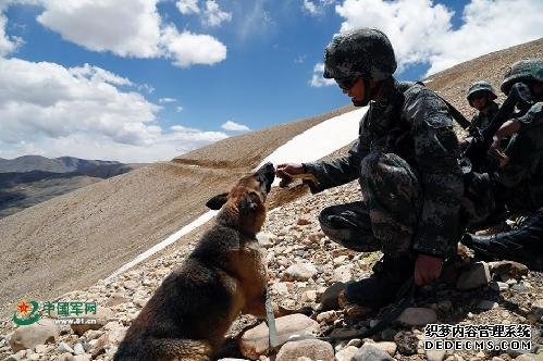 边防官兵过端午：喂军犬粽子 爬山陷雪坑