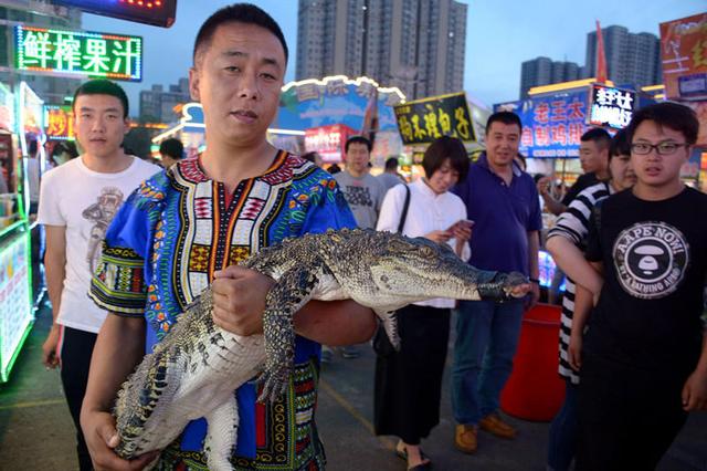 沈阳现鳄鱼肉烤串 每串20元引市民围观