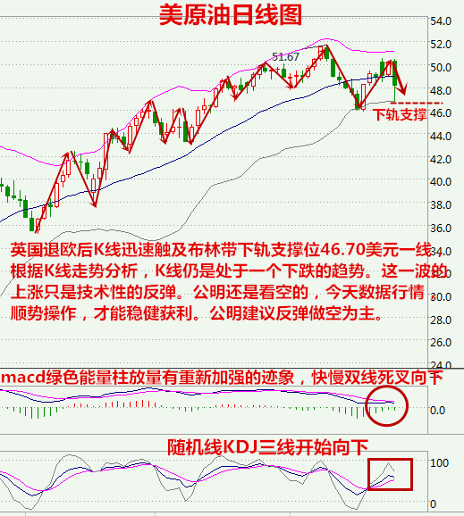 公明指金：6.24英国退欧，油价暴跌的潘多拉盒子已开启