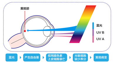 手机鸦片时代 WPS Office新增护眼功能暖心上线