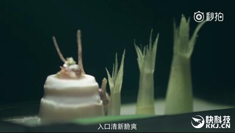 女神刘诗诗献上红米Pro第二弹：十核处理器+双镜头