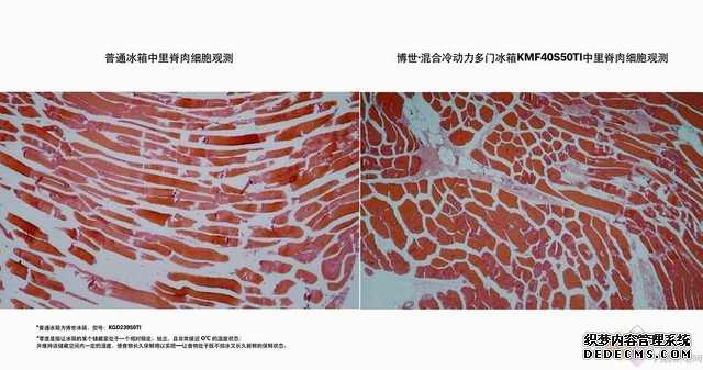 吃货藏宝阁：如何让生鲜在冰箱“存活”更久？ 