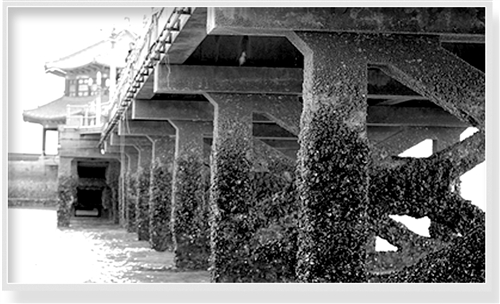 图为大规模维修前，山东省青岛市著名标志性建筑——“百年栈桥”，饱受海水腐蚀。 资料图片