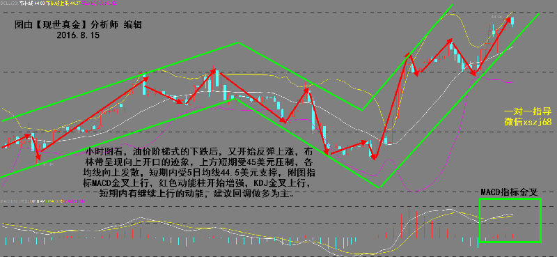 现世真金：8.15晚评-浙商、大连、新华龙油操作建议