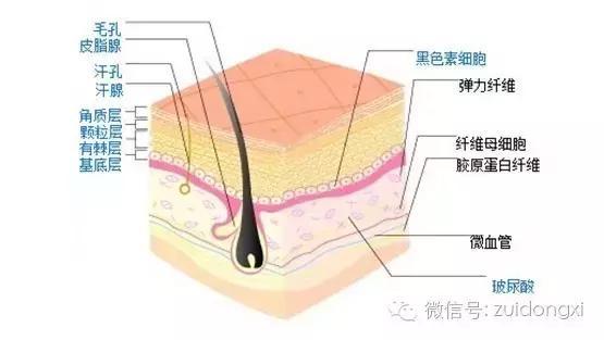 atv直播:男人洗澡超过10分钟，到底是不是娘炮？