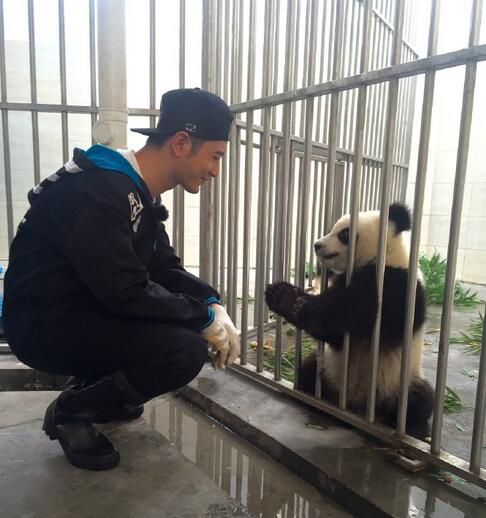 黄晓明与熊猫