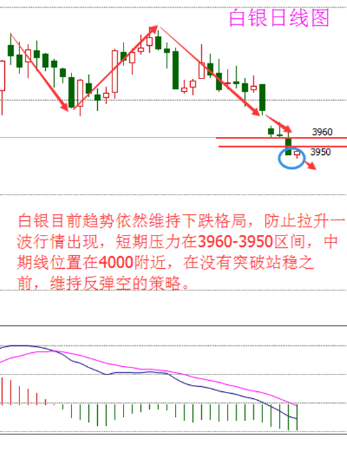 白衍金：美联储与日行争锋相对美日元有望录得周度涨幅