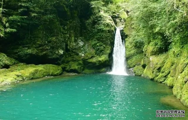 阅读丨溪水声中听澎湃