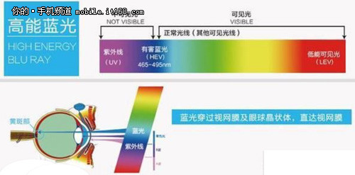 而众所周知对眼睛有巨大伤害的紫外线是一种波长100~400纳米的辐射线，但当其在透过眼球时，眼球内的晶状体即可将其吸收，而短波蓝光却往往能透过晶状体，直抵视网膜中央视力最敏感的黄斑区，进而导致视网膜色素上的皮细胞衰亡。而上皮细胞的衰亡，会直接导致光敏感细胞缺少养分，从而引起视力损伤。