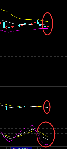 书祁简金：8.29 晚评 周一白天交投寡淡，晚间怎么操作好