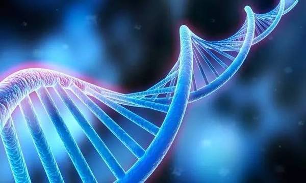 报码:【j2开奖】科学家发现“超级酶”，可加速DNA修复