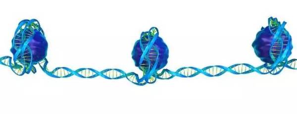 报码:【j2开奖】科学家发现“超级酶”，可加速DNA修复