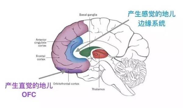 168开奖:【j2开奖】禅和产品设计