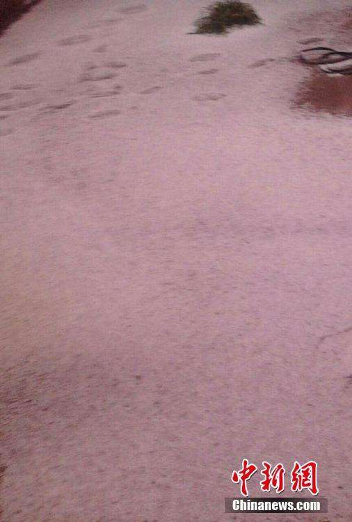 9月12日傍晚，甘肃榆中县局地突降玻璃球大小冰雹，约持续10余分钟，地上白茫茫一片。据当地农民称，冰雹致使枣树等果实跌落或被打伤，玉米、马铃薯等农作物不同程度受灾。
