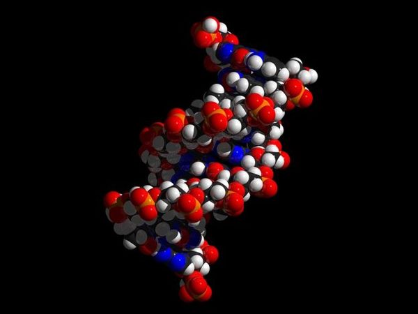 【j2开奖】干扰细胞内 DNA 修复机制能提升 CRISPR 效率?