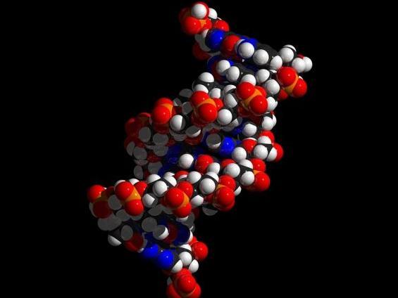 【j2开奖】干扰细胞内 DNA 修复机制能提升 CRISPR 效率?