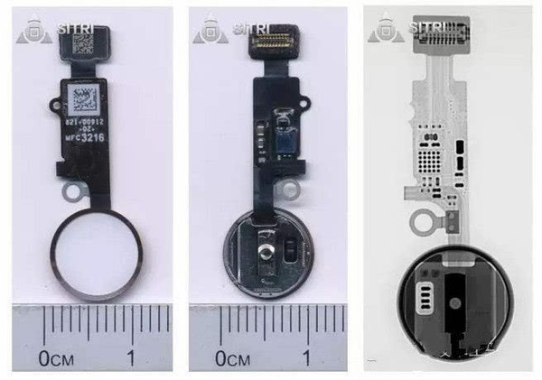 报码:【j2开奖】iPhone 7 Plus拆机解析报告