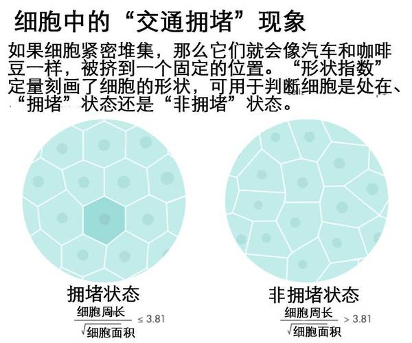 wzatv:【j2开奖】理论物理学也能用来攻克癌症转移难题？