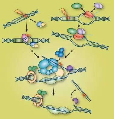 码报:【j2开奖】你还记得去年诺贝尔科学类奖得主和获奖原因吗？