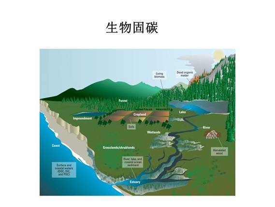 报码:【j2开奖】生物燃料对于气候保护来说，可能是个错误