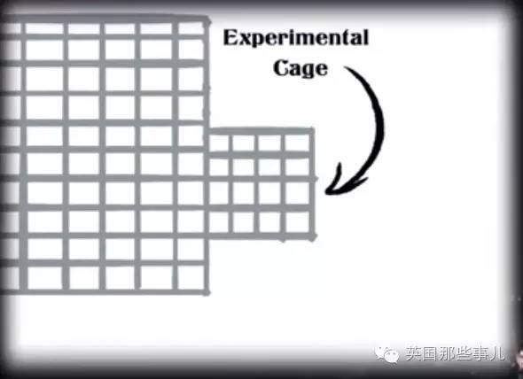 wzatv:【j2开奖】经济学家教会了猴子花钱，结果它们学会了嫖...