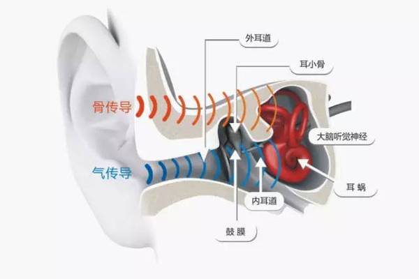 wzatv:【组图】玩物 | 戴上这款骨传导耳机，一路跑到颅内高潮