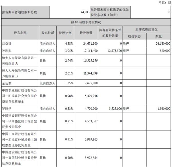 截至2016年第三季度国民技术前十大股东情况