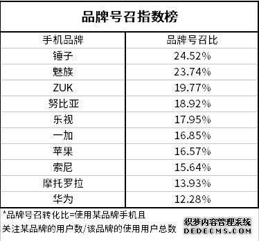 时至今日 锤子的“去罗永浩”之路   