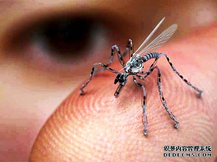 美军昆虫间谍项目曝光 在蛾子上植入电子设备