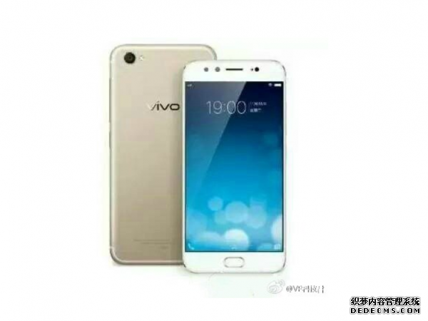 vivo 