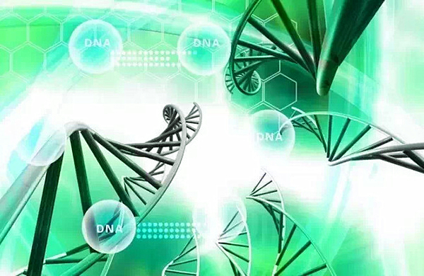 码报:【j2开奖】大数据精准医疗解读遗传密码 未来医疗健康的变革