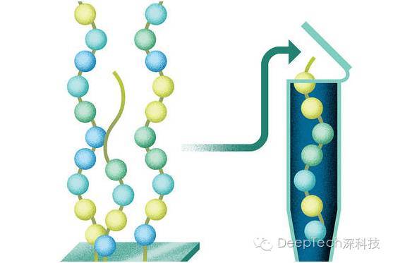 报码:【j2开奖】科学家带你“玩”DNA：数据编码只需6步