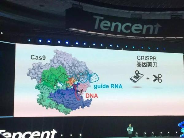 报码:【j2开奖】返老还童将成真，斯坦福教授解说“生命编程”技术