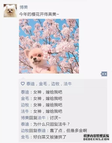 汪星人的微信朋友圈会是什么样子？