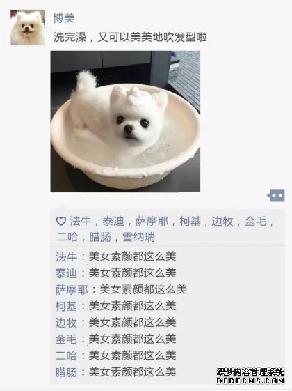 汪星人的微信朋友圈会是什么样子？