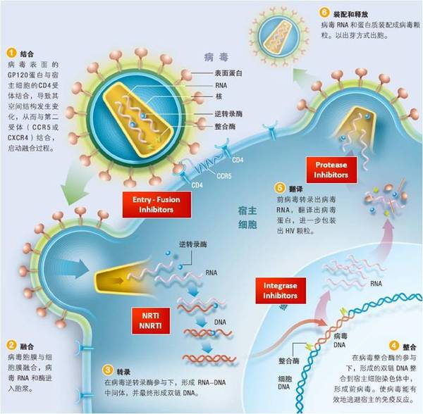 【j2开奖】深度 | 又到世界艾滋病日，清华艾滋中心主任给你讲艾滋