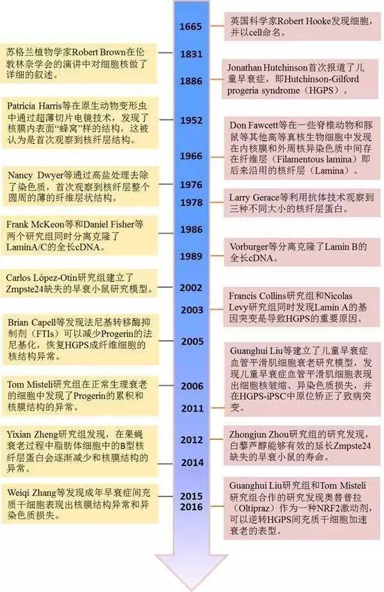 wzatv:【j2开奖】“不老药”的前世今生系列 之 核的力量