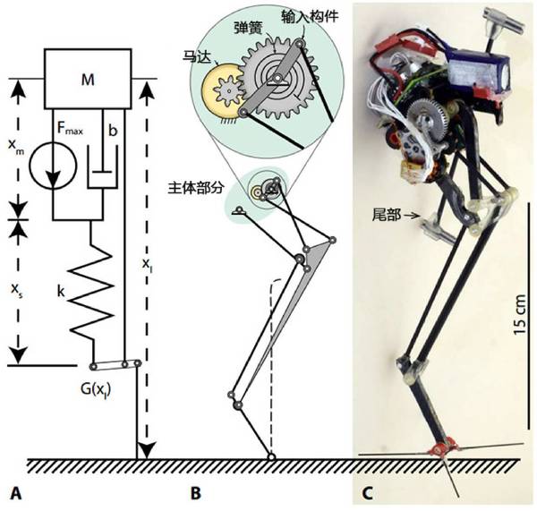 wzatv:【j2开奖】“夜猴”跳跃机器人惊艳全球媒体，敏捷性达到每秒1.7米