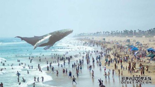 马云花8亿美元投的Magic Leap，到底是不是大骗局？