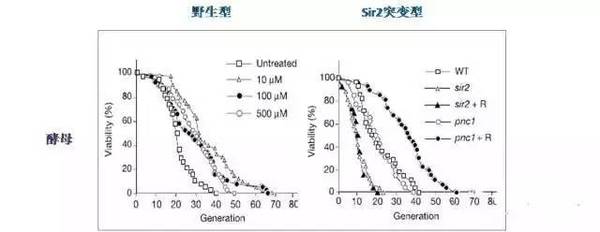 wzatv:【j2开奖】“不老药”的前世今生系列 之 菩提老祖的秘密