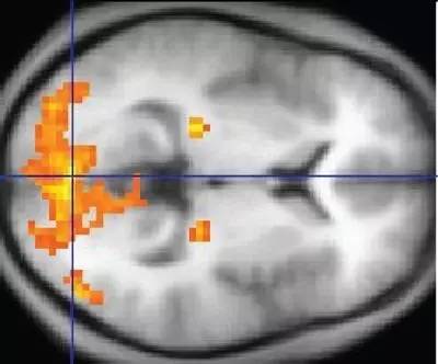 码报:【j2开奖】深度 | 大脑如何思考？科学家正用机器学习解码人类智能