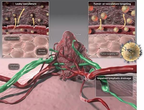 报码:【j2开奖】抗肿瘤纳米药物：百尺竿头，如何更进一步？