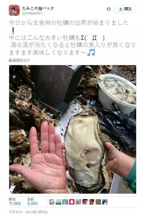 【j2开奖】福岛核灾区惊现巨型变异生蚝？长得大，不可以吗？！